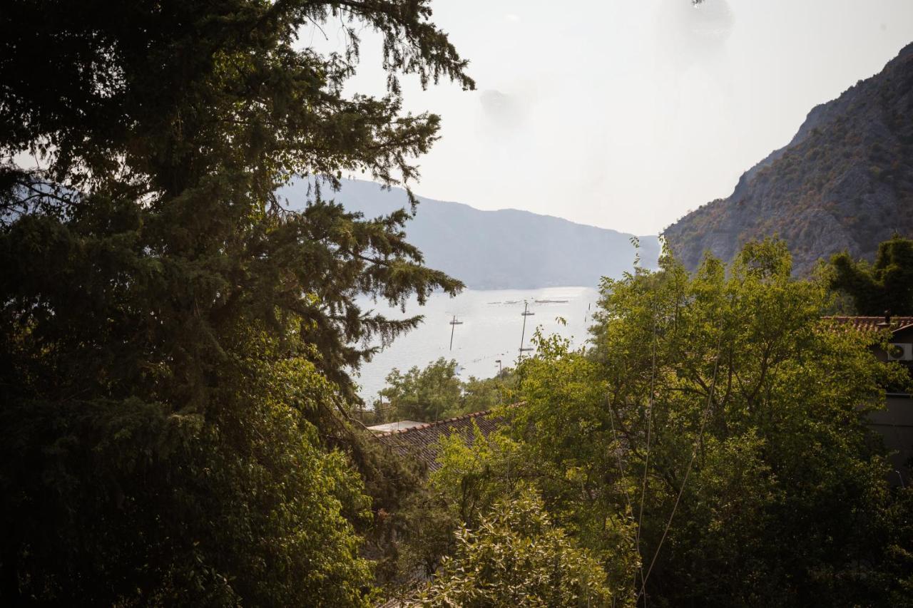 Apartmani Peko Kotor Exteriér fotografie